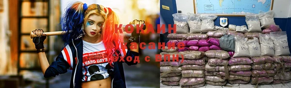 ешки Алексин
