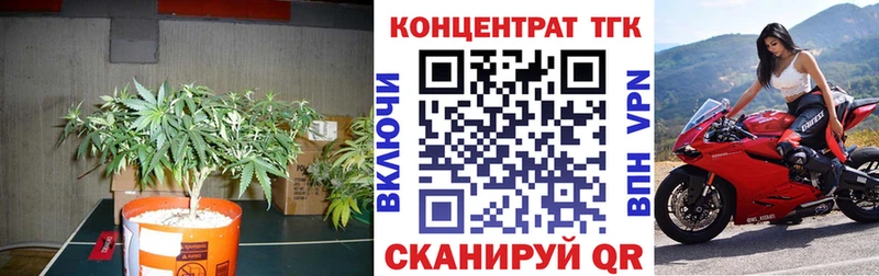 ТГК жижа  мега ссылка  Лаишево 