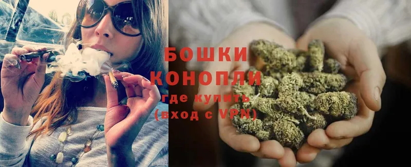 Бошки марихуана THC 21%  закладка  Лаишево 